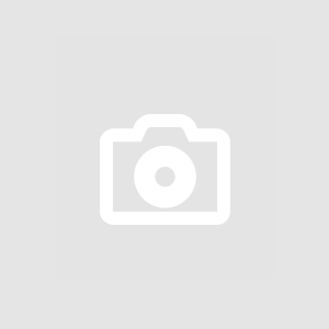 Lindis1006 CHAIN SHOULDER BAG TRIOMPHE IN TRIOMPHE CANVAS 1